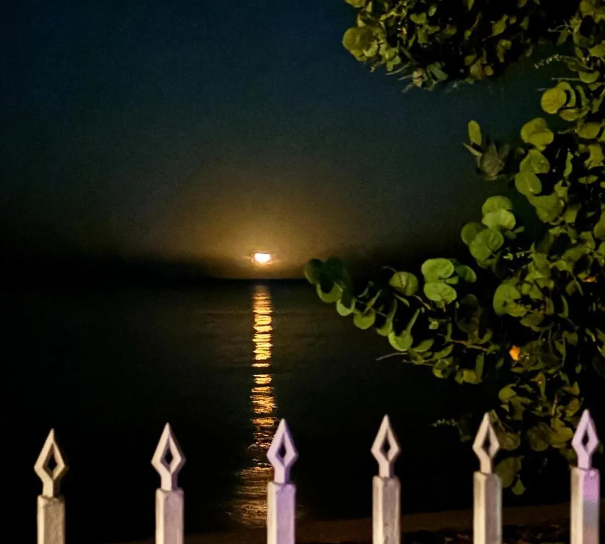 La Casita De Papipa Villa Cabo Rojo